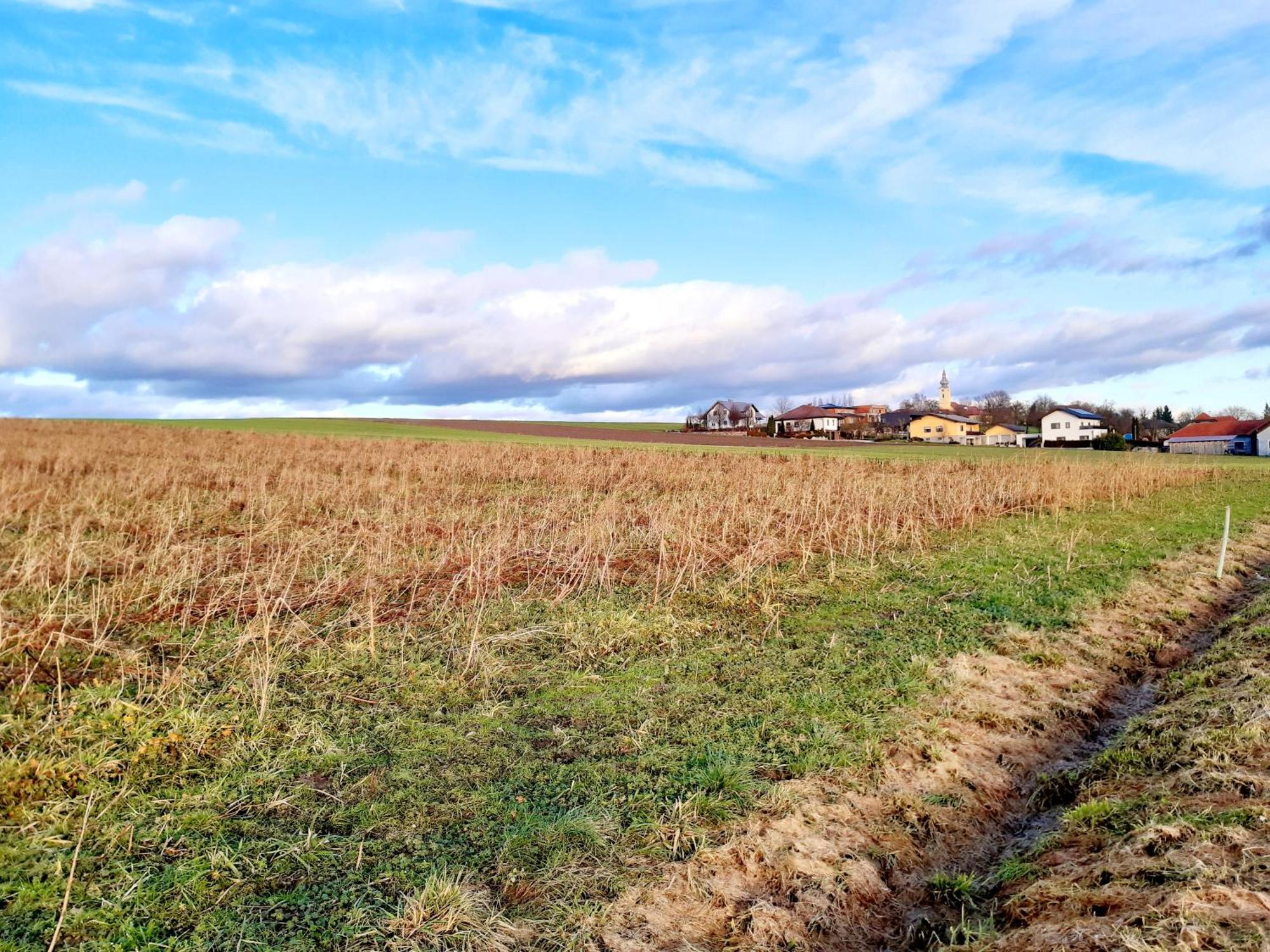 Schoene Altbauwohnung Auf Dem Land Kallham Buitenkant foto